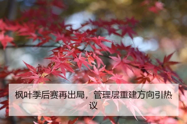 枫叶季后赛再出局，管理层重建方向引热议